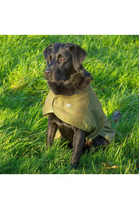 2022 Alan Paine Tweed Dog Coat DOGCT1 - Lichen